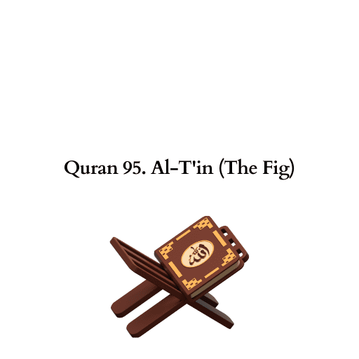 Quran 95. Al-T'in (The Fig)